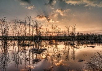 Картинка природа реки озера река лес