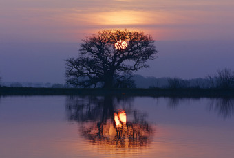 Картинка природа восходы закаты озеро отражение закат дерево солнце небо облака
