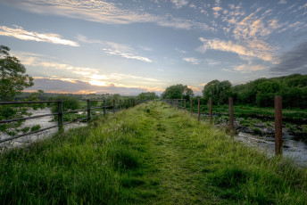 Картинка природа дороги трава вода тропинка