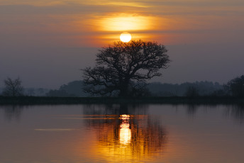 Картинка природа восходы закаты озеро отражение закат дерево солнце небо облака