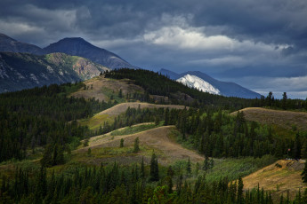 Картинка природа горы холмы небо лес