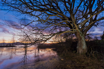 Картинка природа реки озера река лес