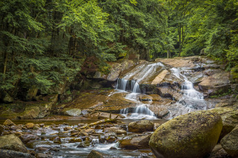 Картинка природа водопады река лес водопад