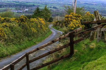 Картинка природа дороги склон дорожка изгородь