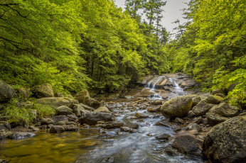 Картинка природа реки озера лес река