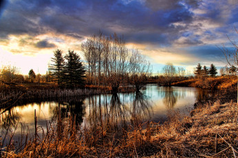 Картинка природа реки озера лес река