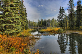 Картинка природа реки озера отражение река лес