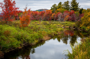 Картинка природа реки озера река лес