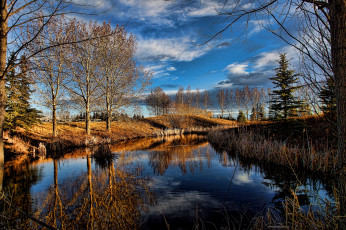 Картинка природа реки озера река лес