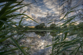 Картинка природа реки озера река лес