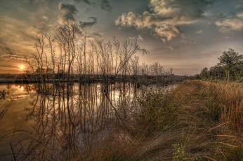 Картинка природа реки озера река лес