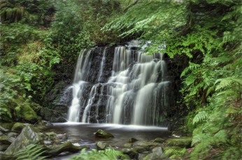 Картинка природа водопады водопад река лес