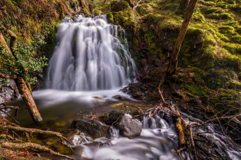 Картинка природа водопады водопад река лес