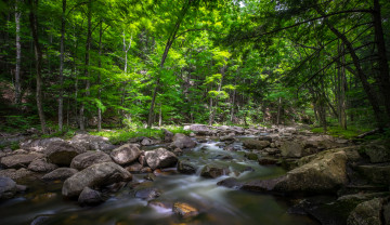 Картинка природа реки озера камни лес река