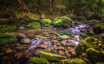 Картинка природа реки озера река лес