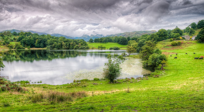 Обои картинки фото природа, реки, озера, лес, река