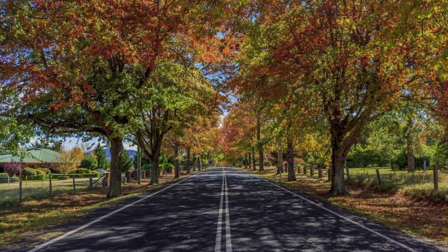 Обои картинки фото природа, дороги, осень, деревья, шоссе