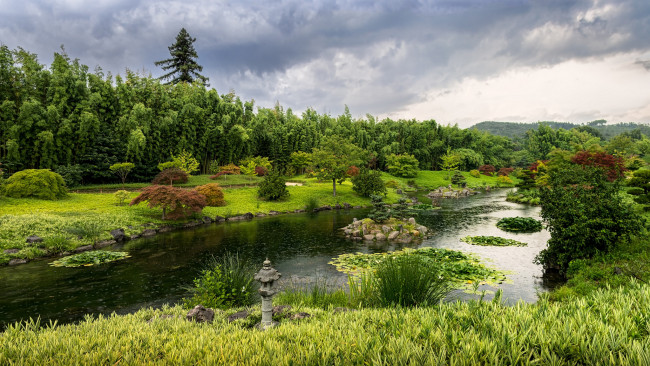 Обои картинки фото природа, реки, озера, река, лес, долина