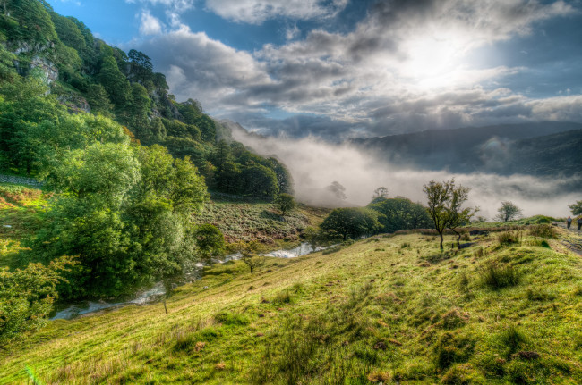 Обои картинки фото природа, пейзажи, река, лес