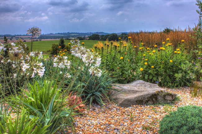 Обои картинки фото природа, луга, луг, равнина, цветы, трава