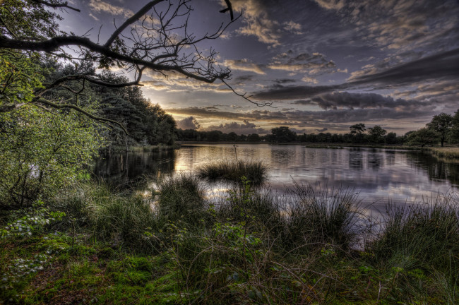 Обои картинки фото природа, реки, озера, река, лес