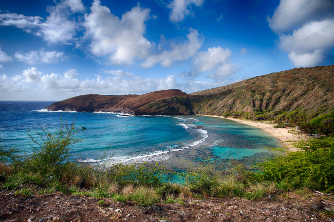 Обои картинки фото природа, побережье, пляж, океан