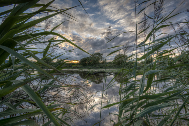 Обои картинки фото природа, реки, озера, река, лес