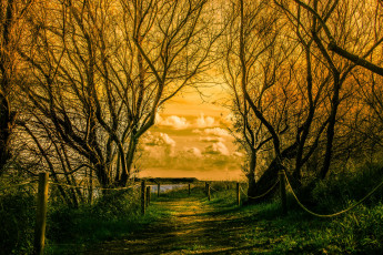 Картинка природа восходы закаты рассвет