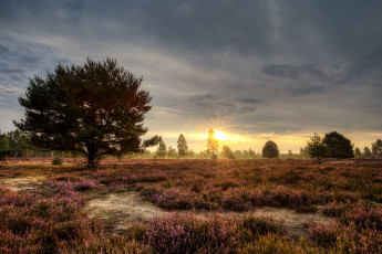 Картинка природа восходы закаты рассвет