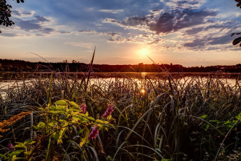 Картинка природа восходы закаты рассвет