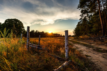 Картинка природа дороги рассвет