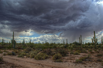 Картинка природа стихия шторм