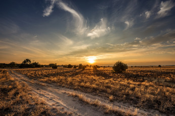 Картинка природа восходы закаты рассвет