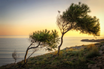 Картинка природа восходы закаты рассвет