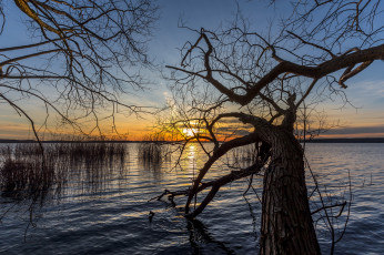 Картинка природа восходы закаты рассвет