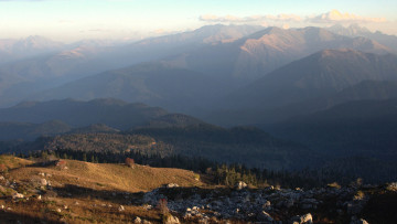 Картинка природа горы лес