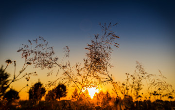 Картинка природа восходы закаты рассвет