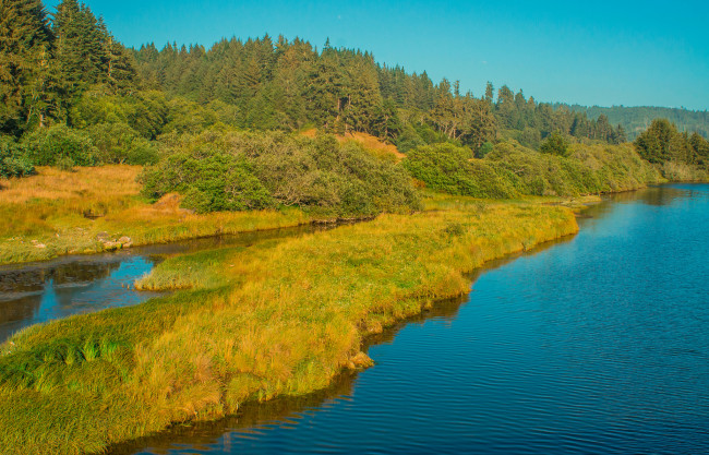 Обои картинки фото природа, реки, озера, лес, трава, река, небо, деревья, осень