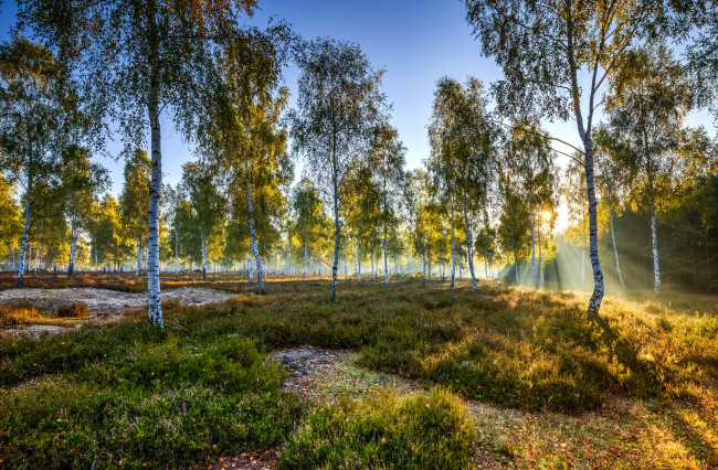 Обои картинки фото природа, восходы, закаты, рассвет