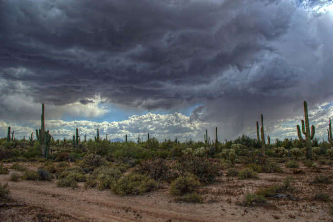 Обои картинки фото природа, стихия, шторм