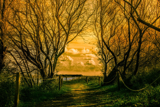 Обои картинки фото природа, восходы, закаты, рассвет