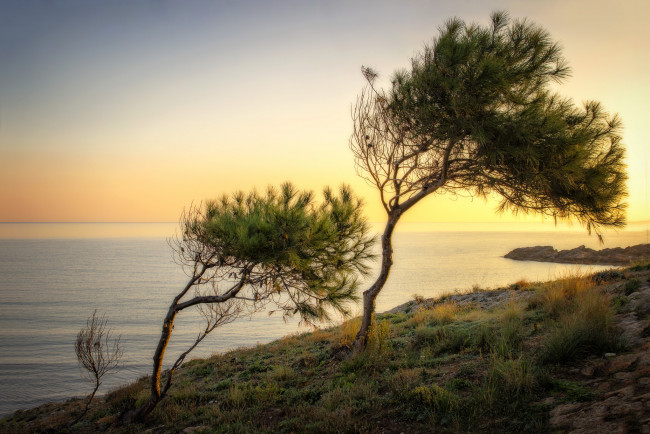 Обои картинки фото природа, восходы, закаты, рассвет