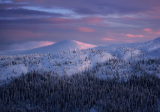 Картинка природа пейзажи лес холмы снег