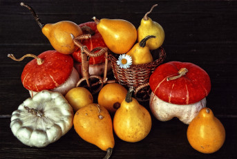 Картинка еда фрукты+и+овощи+вместе тыква груши