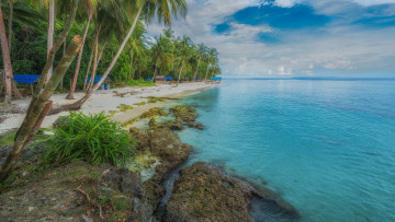 Картинка природа тропики курорт