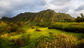 Картинка природа пейзажи простор