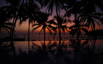 Картинка природа тропики курорт