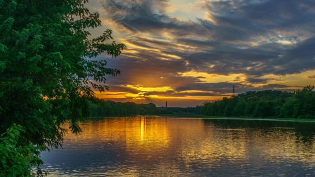 Обои картинки фото природа, реки, озера, река, лес