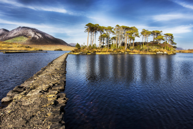 Обои картинки фото природа, реки, озера, лес, река