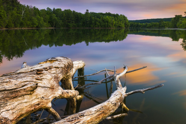 Обои картинки фото природа, реки, озера, река, лес